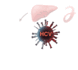 02008idl-c5c4-78x70.gif