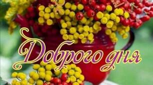 Мохоподібні - древні карлики в світі велетнів