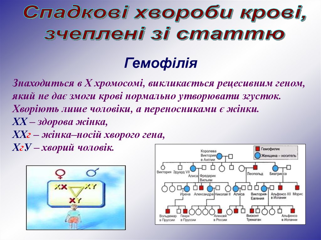 Мой родовод картинка