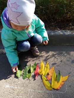 02008p9l-3495-250x333.jpg