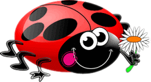 02008rav-2430-219x120.gif