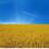Дикопавленко Ганна Валеріївна