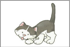 02008s1m-5095.png