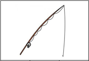 02008sdb-5014-300x205.png