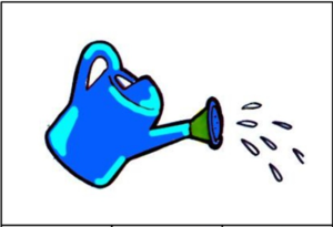 02008se5-cd7d-300x205.png