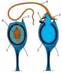 02008swb-0033-129x151.png