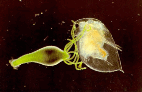 02008syx-dbd7-283x184.png