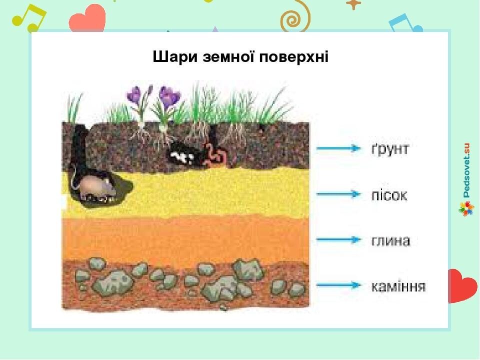Презентація на тему "Грунт" | Презентація. Я досліджую світ