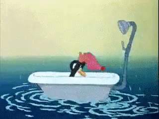 02008u9o-16ff.gif