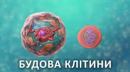 Будова клітини