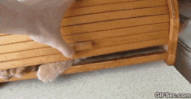 02008vbt-916f.gif