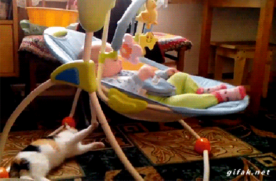 02008vc4-9969.gif