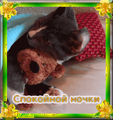 02008vcw-808b.gif