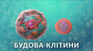 Клітина.