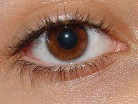 02008x6j-834c.jpg