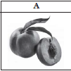 02008xlj-f421.png