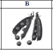 02008xlo-4e75.png