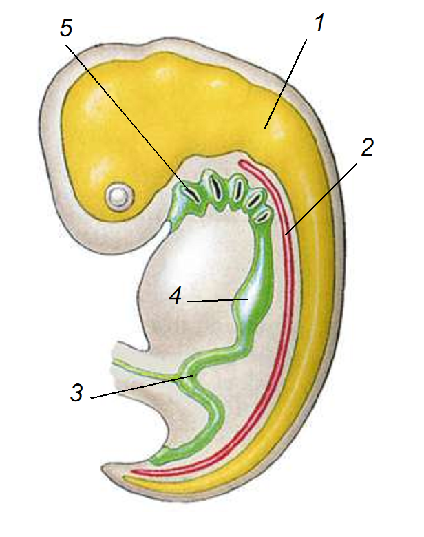 02008xqt-9f30.png