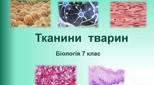 Тканини тварин 