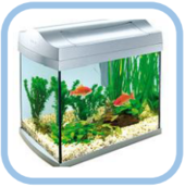 0200901i-0d55-170x172.png