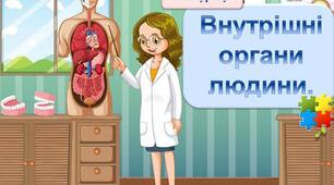 Внутрішні органи  (ThingLink + відео)