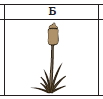 0200920n-677b.png