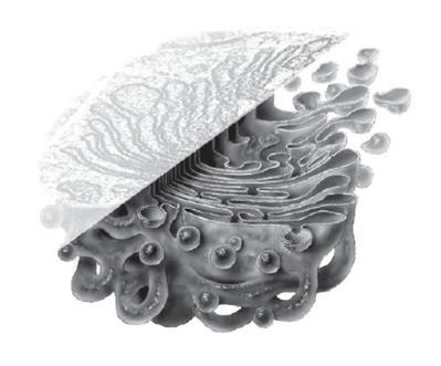 0200927c-dc0a.png