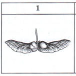 020092dv-6624.png