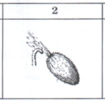 020092dw-c674.png