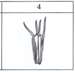 020092dy-1036.png