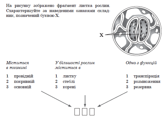 020092f9-4659.png