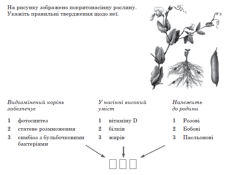 020092fd-fe1b.png