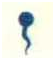 0200935w-57a2-85x93.png