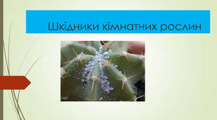 Шкідники кімнатних рослин(методичні рекомендації)
