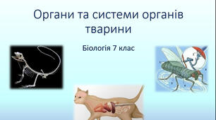 ОРГАНИ ТА СИСТЕМИ ОРГАНІВ ТВАРИН