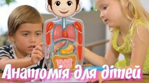 (Копія) Людина та її організм