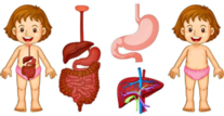 020096v8-416f-207x107.png