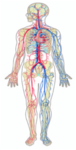 020096vl-879b-76x150.png