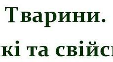 Дикі і свійські тварини