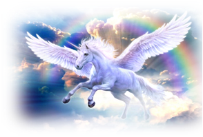 020098ey-de08.png