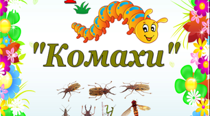 Проект у дитячому садку  «Комахи»