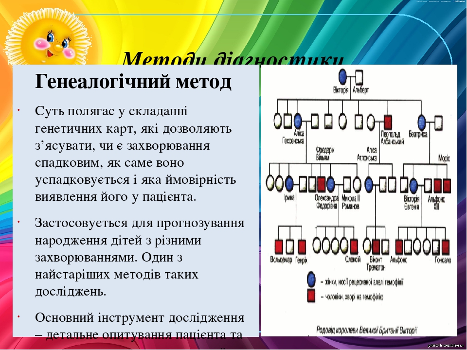 Генеалогический метод картинки