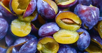020099l2-5ca6-359x188.jpg