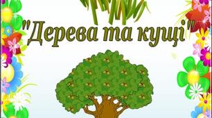 Екологічний проект «Дерева та кущі».