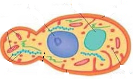 02009b6d-2868.png