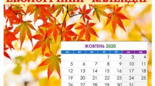 Презентація "Екологічний календар жовтень 2020"