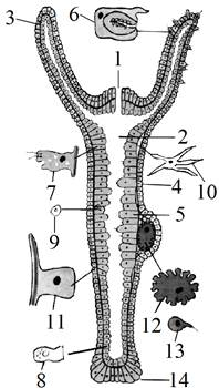 02009dbp-5328.png