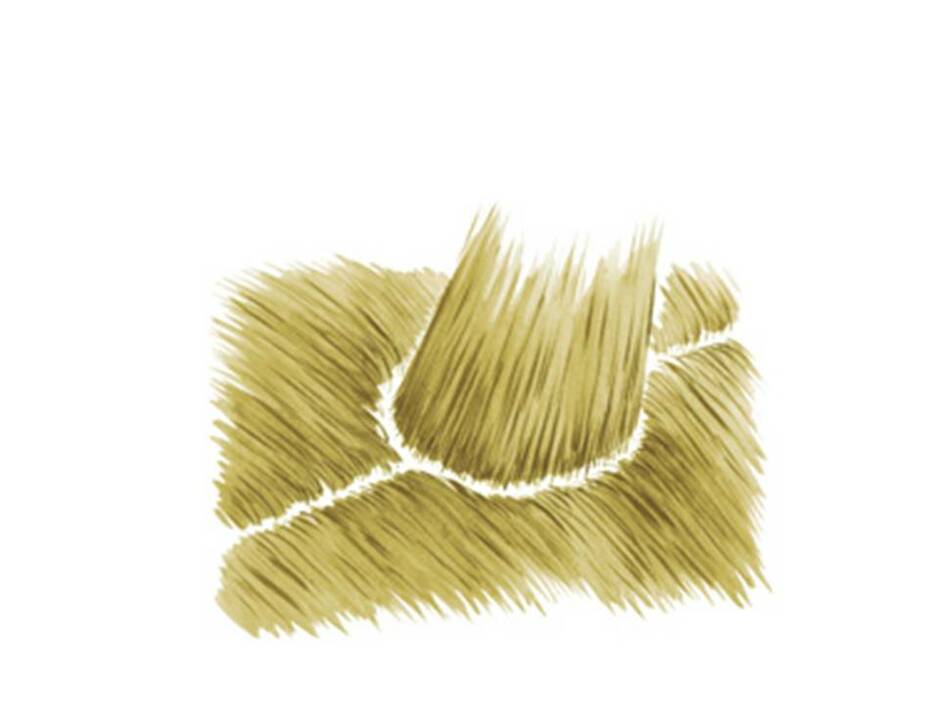 02009df8-ce7e-940x705.jpg