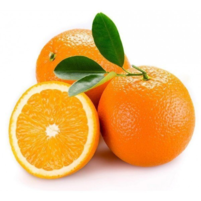 02009ezs-779d-201x201.png