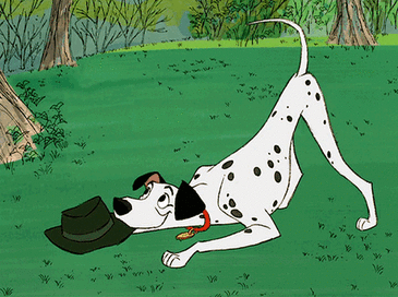 02009fru-432f-365x272.gif